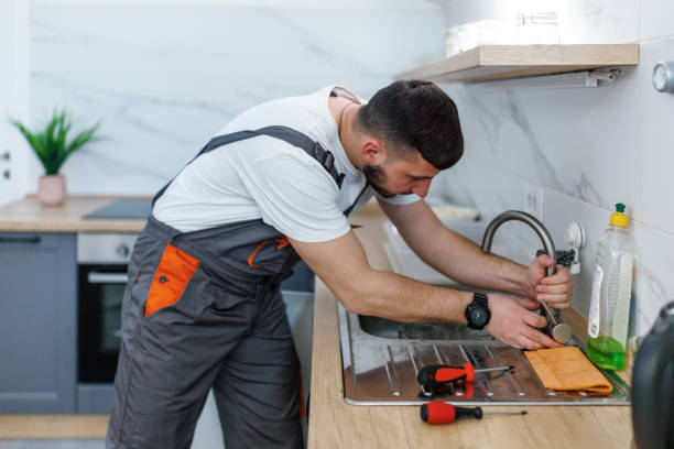 Best Local Plumber Services  in Johnsburg, IL