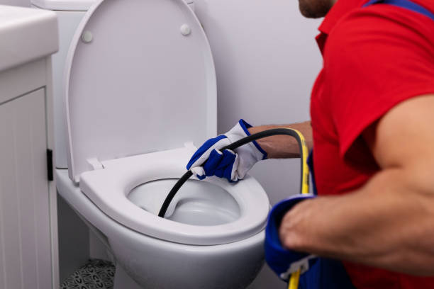 Best Affordable Plumbing Services  in Johnsburg, IL