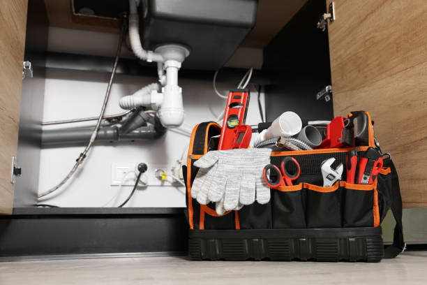 Best Emergency Plumber  in Johnsburg, IL
