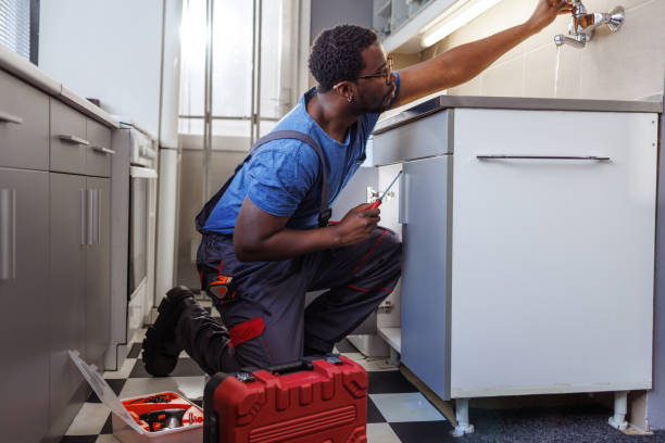 Best Sewer Line Repair  in Johnsburg, IL