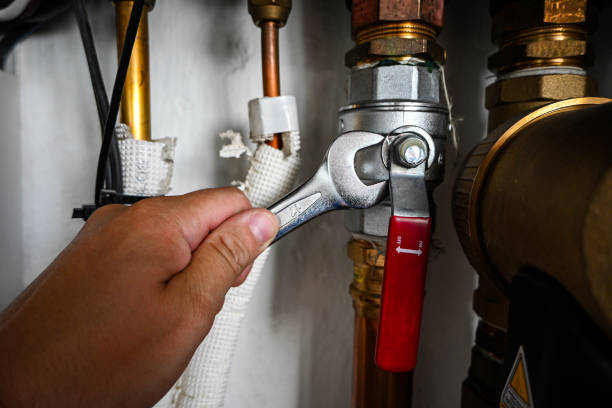 Best Plumbing Inspection Services  in Johnsburg, IL